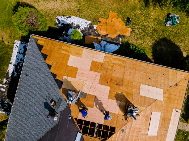Best Roof Leak Repair  in Fitzgerald, GA