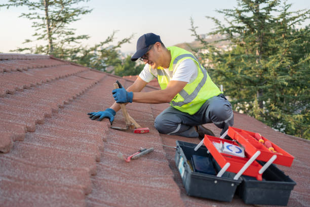 Best Local Roofing Companies  in Fitzgerald, GA